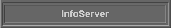  InfoServer 